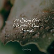 25 Sleep Aid Winter Rain Sounds