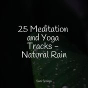 25 Meditation and Yoga Tracks - Natural Rain