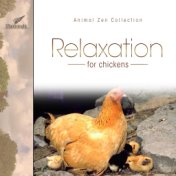 Relaxation for Chickens