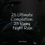 25 Ultimate Compilation: 25 Rainy Night Rain