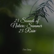 25 Sounds of Nature: Summer 25 Rain