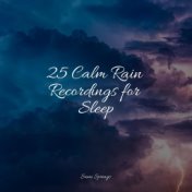 25 Calm Rain Recordings for Sleep