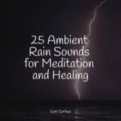 25 Ambient Rain Sounds for Meditation and Healing