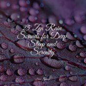 25 Zen Rain Sounds for Deep Sleep and Serenity