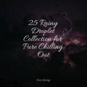 25 Rainy Droplet Collection for Pure Chilling Out