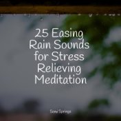 25 Easing Rain Sounds for Stress Relieving Meditation