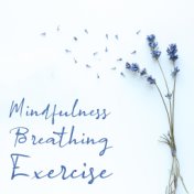 Mindfulness Breathing Exercise