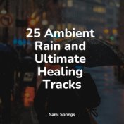 25 Ambient Rain and Ultimate Healing Tracks