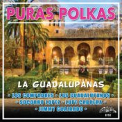 La Guadalupanas (Puras Polkas)