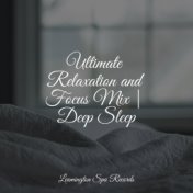 Ultimate Relaxation and Focus Mix | Deep Sleep