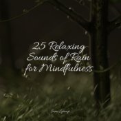 25 Relaxing Sounds of Rain for Mindfulness