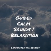 Guided Calm Sounds | Relaxation