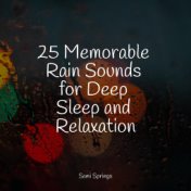 25 Memorable Rain Sounds for Deep Sleep and Relaxation