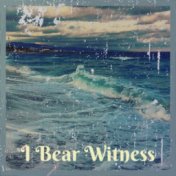 I Bear Witness