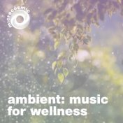 Ambient - Music For Wellness