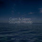 Calm & Sleep Sounds | Sleep