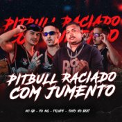 Pitbull Raciado Com Jumento