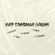 МИР ГЛАЗАМИ СОБАК