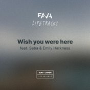 Wish You Were Here