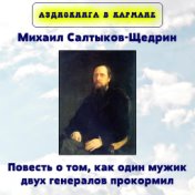 Михаил Салтыков-Щедрин - Повесть о том, как один мужик двух генералов прокормил.