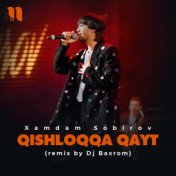 Qishloqqa qayt (remix by Dj Baxrom)