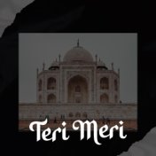 Teri Meri