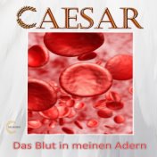 Das Blut in meinen Adern