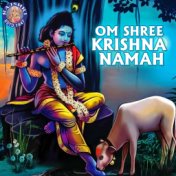 Om Shree Krishna Namah