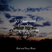50 Sleep and Complete Tranquility Songs