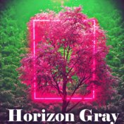 Horizon Gray