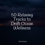 50 Relaxing Tracks to Drift Ocean Wellness