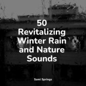 50 Revitalizing Winter Rain and Nature Sounds