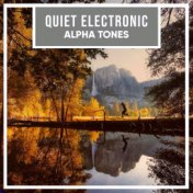 #19 Quiet Electronic Alpha Tones