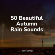 50 Beautiful Autumn Rain Sounds