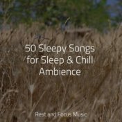 50 Sleepy Songs for Sleep & Chill Ambience