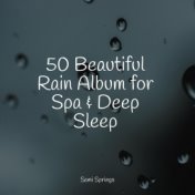 50 Beautiful Rain Album for Spa & Deep Sleep