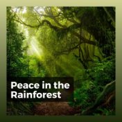Peace in the Rainforest