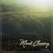 #17 Mind Clearing Tracks for Meditation, Spa and Relaxation