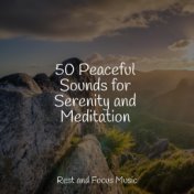 50 Peaceful Sounds for Serenity and Meditation