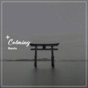 11 Calming Beats