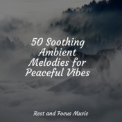 50 Soothing Ambient Melodies for Peaceful Vibes