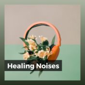 Healing Noises