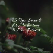 25 Rain Sounds for Meditation & Mindfulness