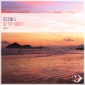 In the Night (Original Mix)