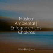 Música Ambiental | Enfoque en Los Chakras