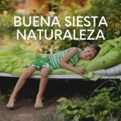 Buena Siesta Naturaleza