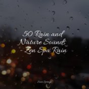 50 Rain and Nature Sounds - Zen Spa Rain
