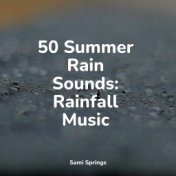 50 Summer Rain Sounds: Rainfall Music