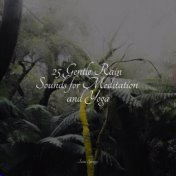 25 Gentle Rain Sounds for Meditation and Yoga