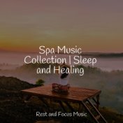 Spa Music Collection | Sleep and Healing